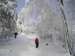 Resize of P1010317.JPG